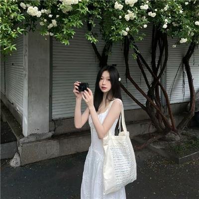 兽国红粉